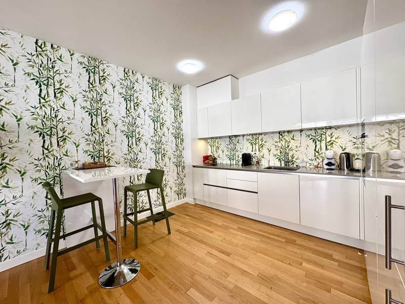 Apartment - Lugano (2)