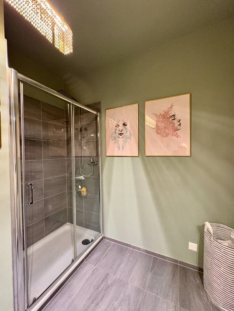 Apartment - Lugano (11)