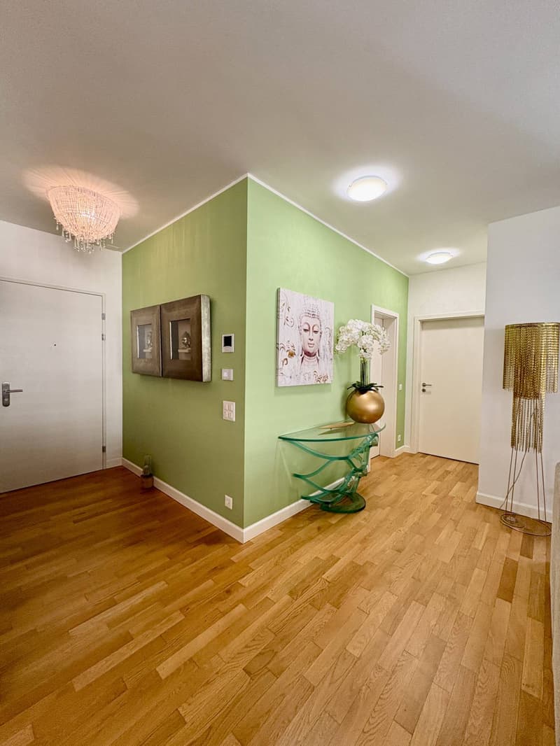 Apartment - Lugano (3)