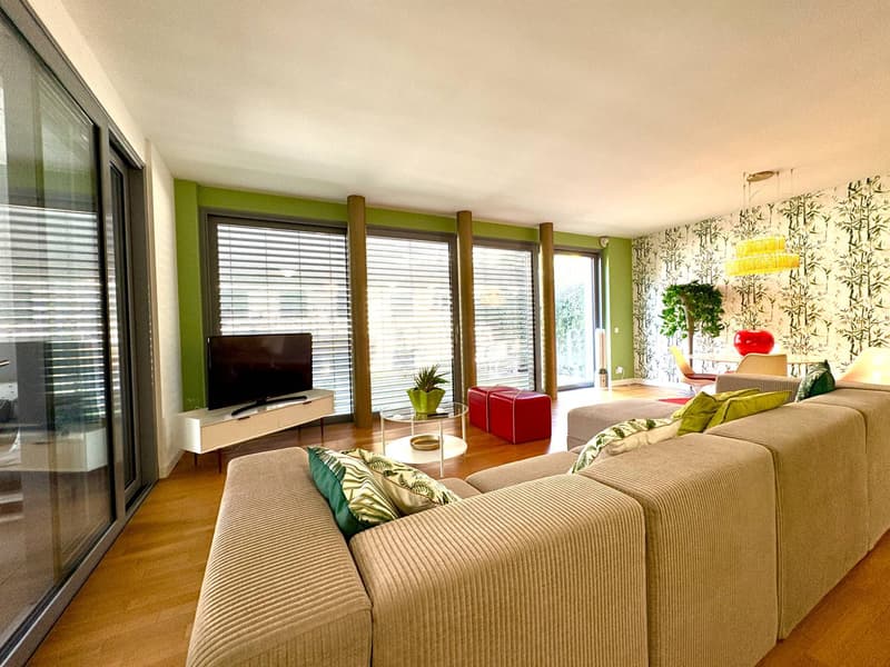Apartment - Lugano (5)