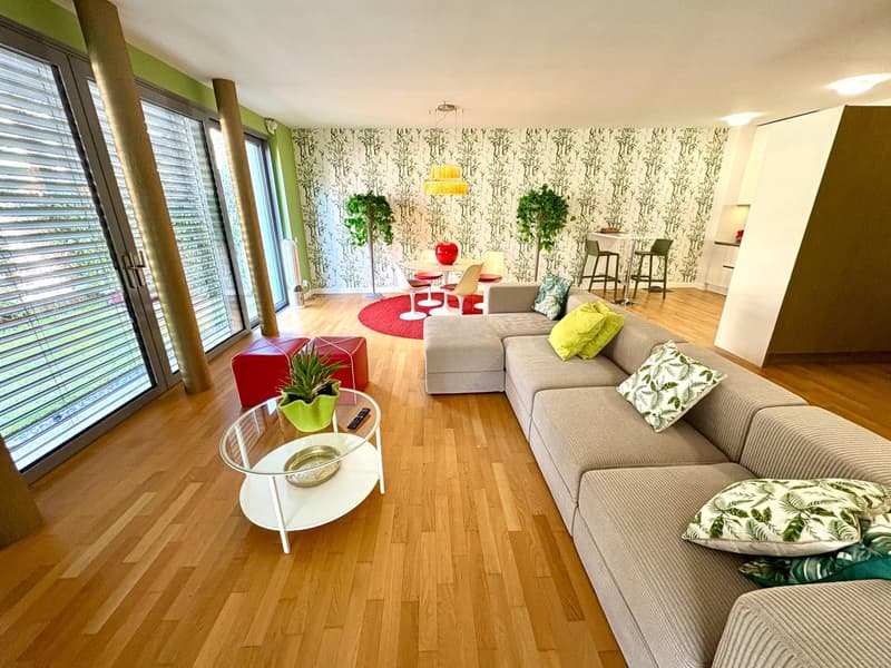 Apartment - Lugano (4)
