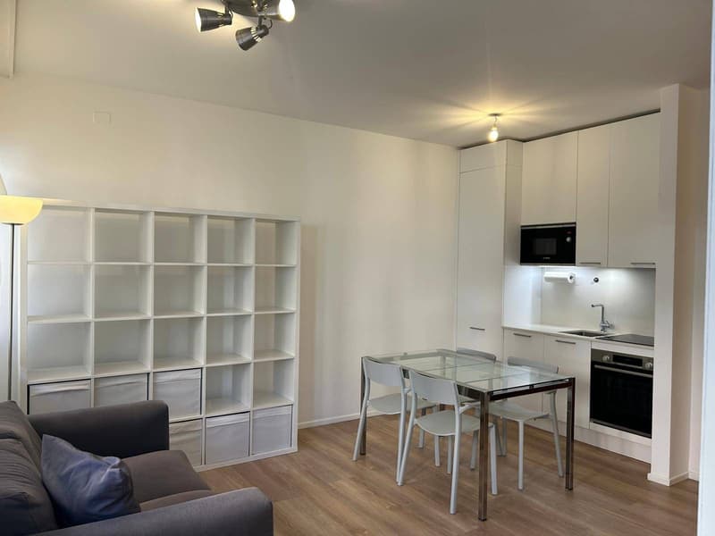 Appartamento - Lugano (1)
