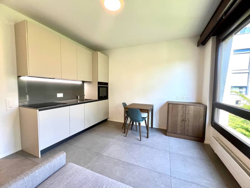 Appartamento - Lugano (2)