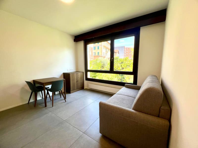 Appartamento - Lugano (3)