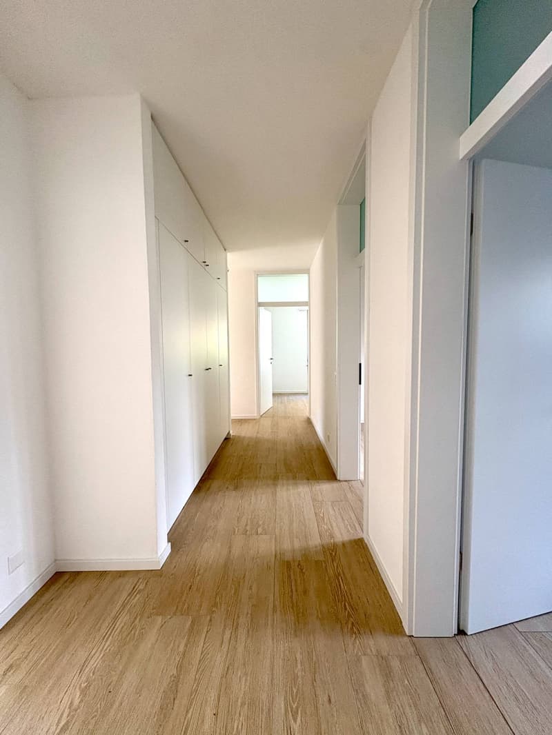 Appartement - Massagno (9)