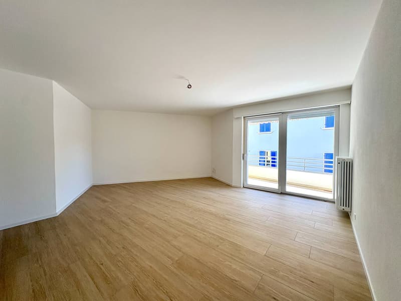 Appartement - Massagno (3)