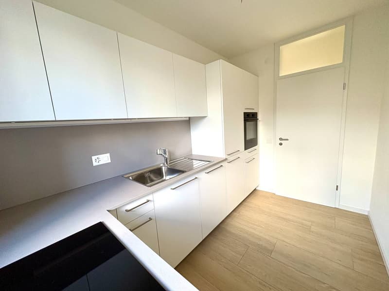 Appartement - Massagno (2)