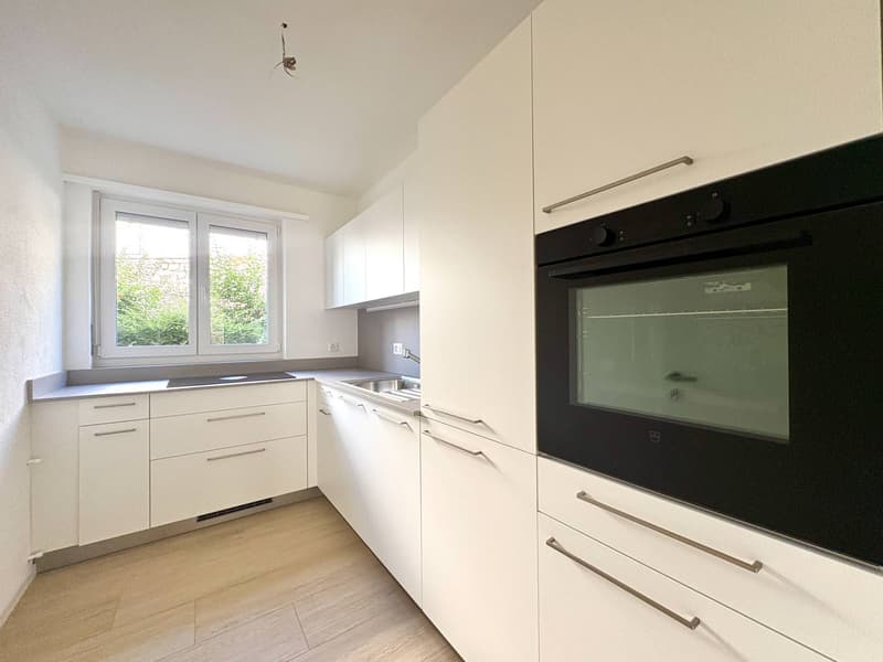 Appartement - Massagno (1)
