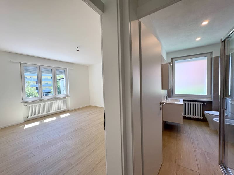 Appartement - Massagno (6)