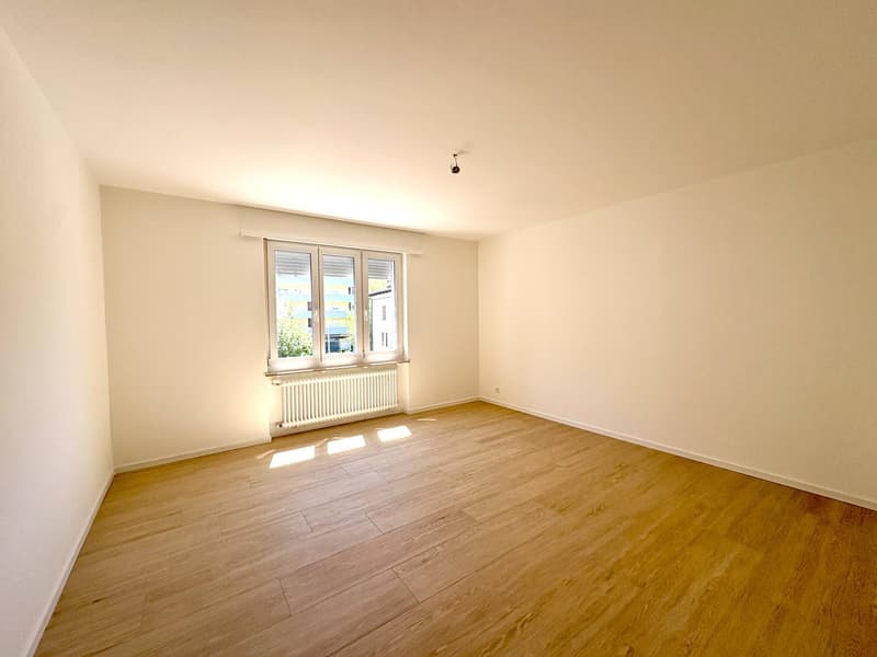 Appartement - Massagno (5)