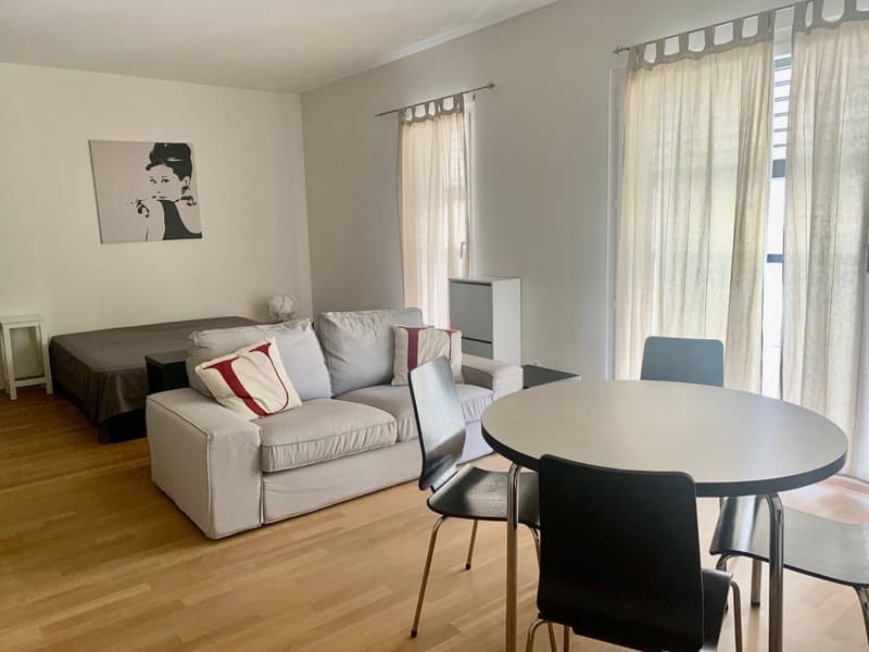 Appartamento - Lugano (3)