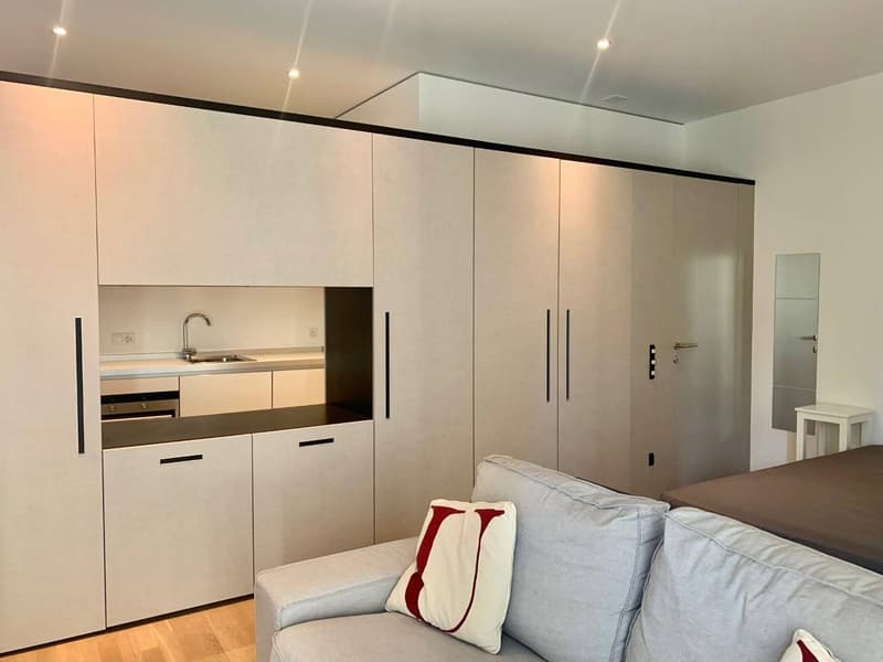 Appartamento - Lugano (2)