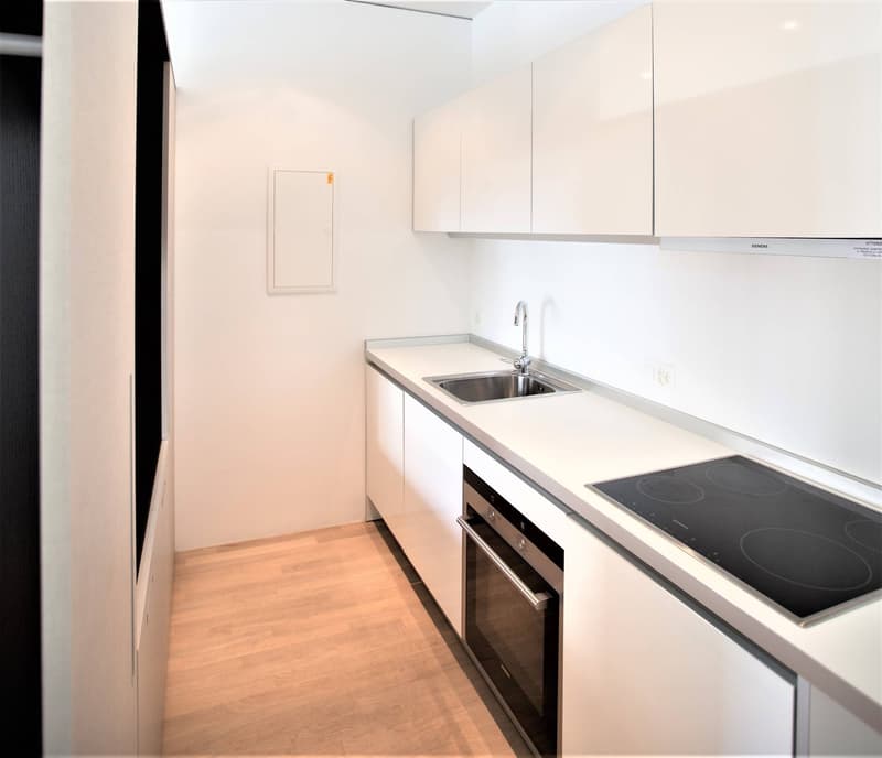 Appartamento - Lugano (5)