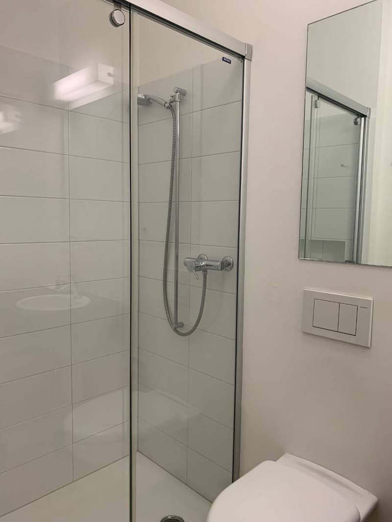 Appartamento - Lugano (7)