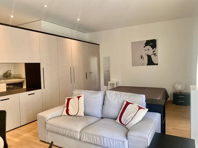 Appartamento - Lugano (1)