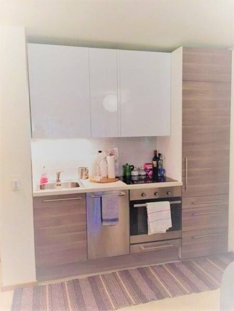 Wohnung - Lugano (4)