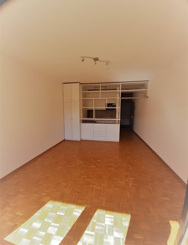 Appartamento - Lugano (4)