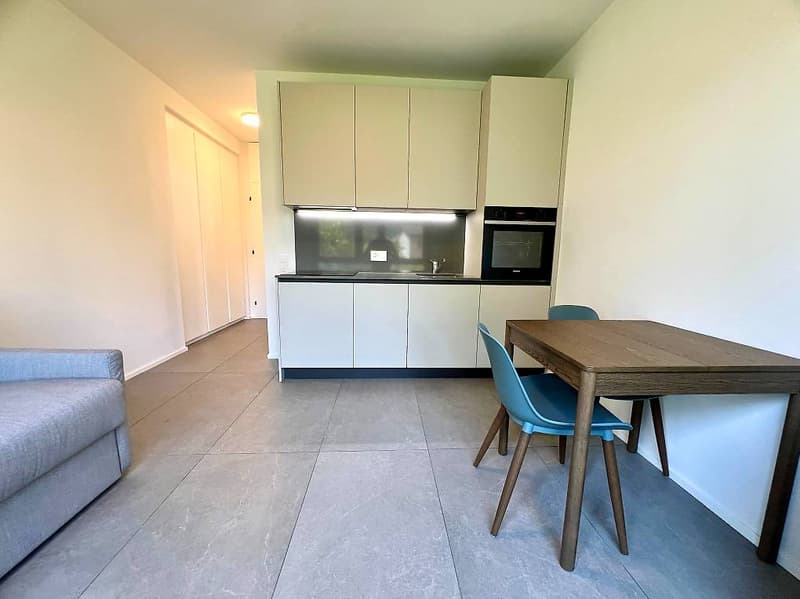 Completely renovated and furnished studio apartment (1)