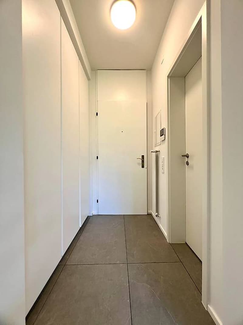 Completely renovated and furnished studio apartment (2)