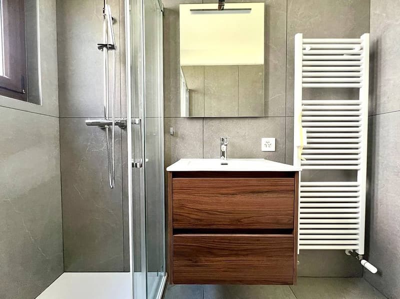 Completely renovated and furnished studio apartment (3)