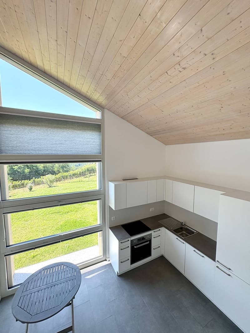 Appartement - Monteggio (5)