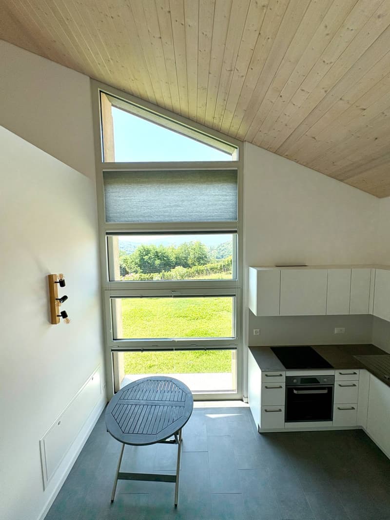 Appartement - Monteggio (2)