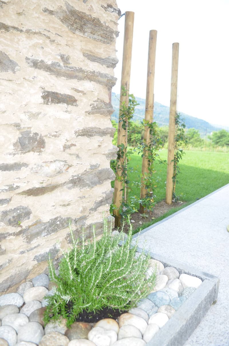 Appartement - Monteggio (12)