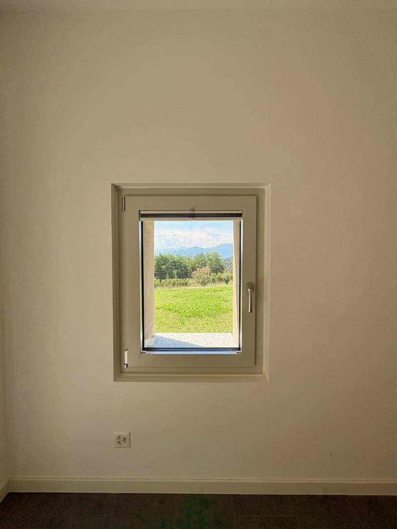 Appartement - Monteggio (8)