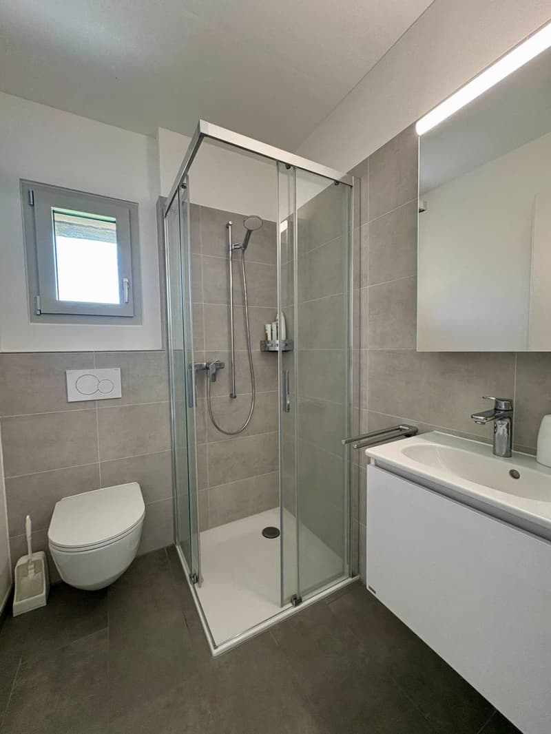 Appartement - Monteggio (10)