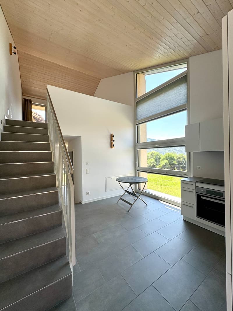 Appartement - Monteggio (4)