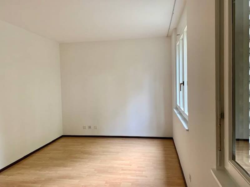 Appartement - Gentilino (5)