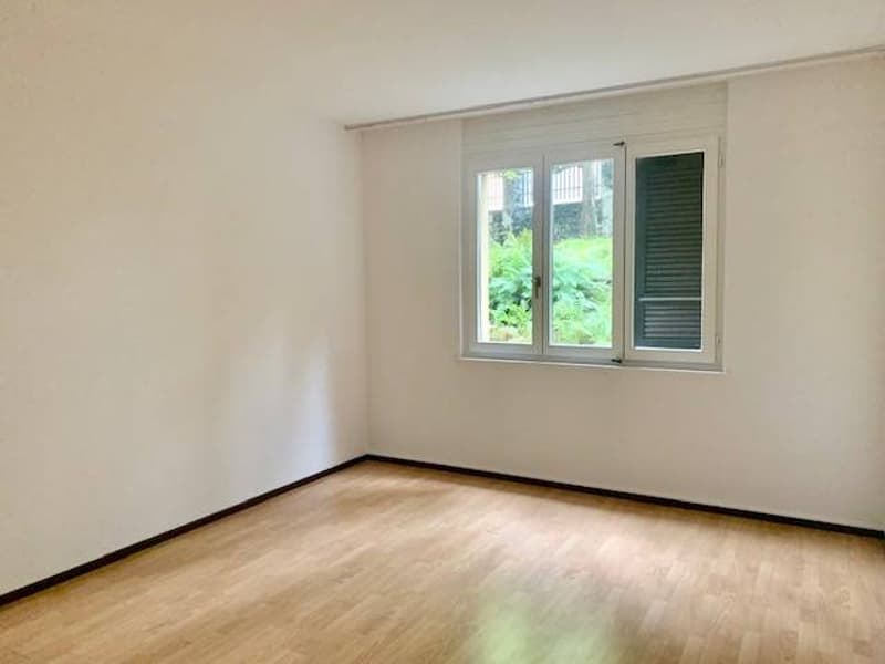 Appartement - Gentilino (4)