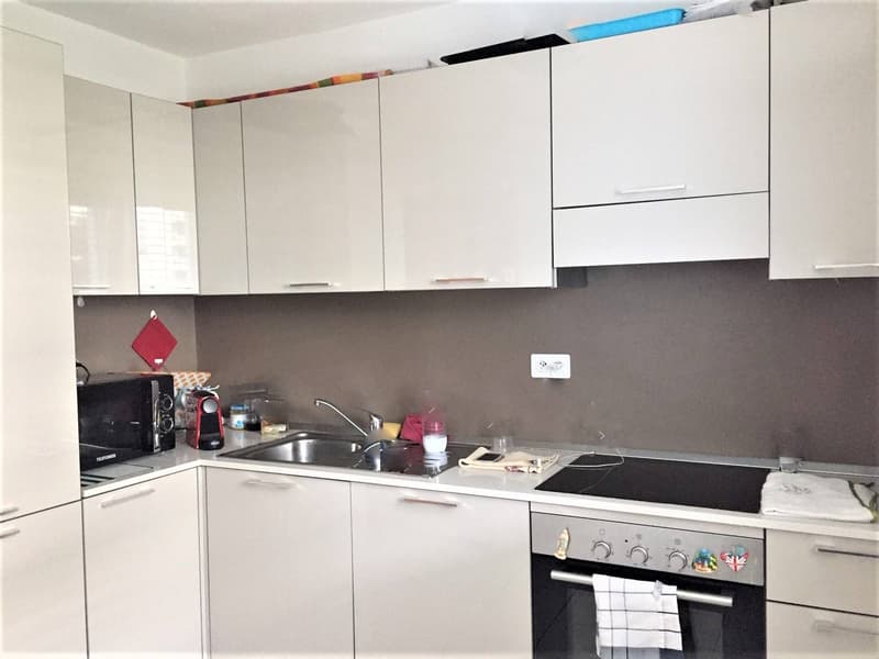 Apartment - Morbio Inferiore (8)