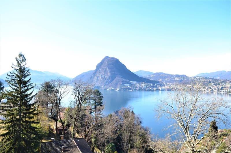 Apartment - Lugano (2)