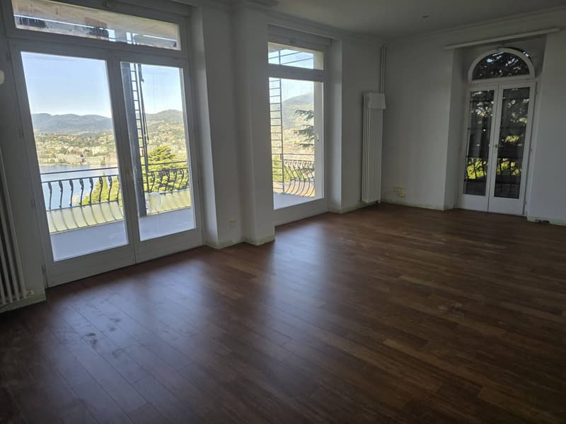 Apartment - Lugano (8)