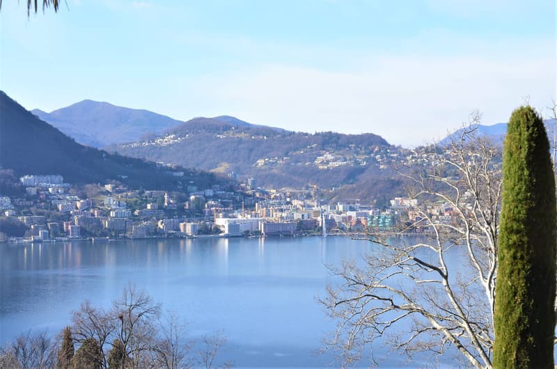 Apartment - Lugano (3)