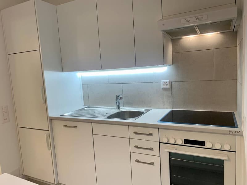 Apartment - Stabio (4)