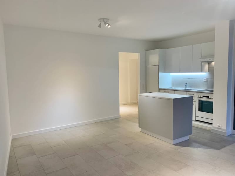 Apartment - Stabio (3)