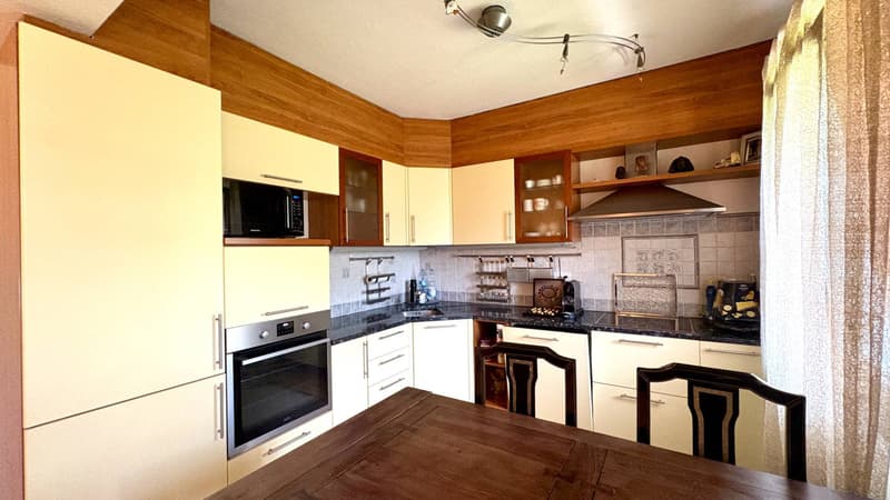 Appartamento - Collina d'Oro (6)