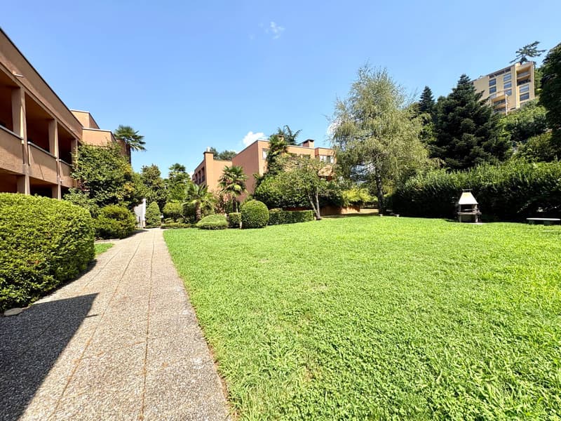 Appartamento - Collina d'Oro (1)