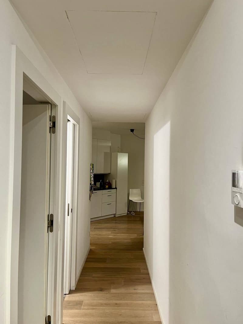 Appartamento - Lugano (2)