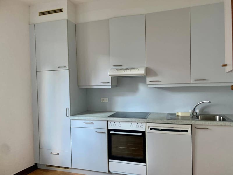Appartamento - Paradiso (3)