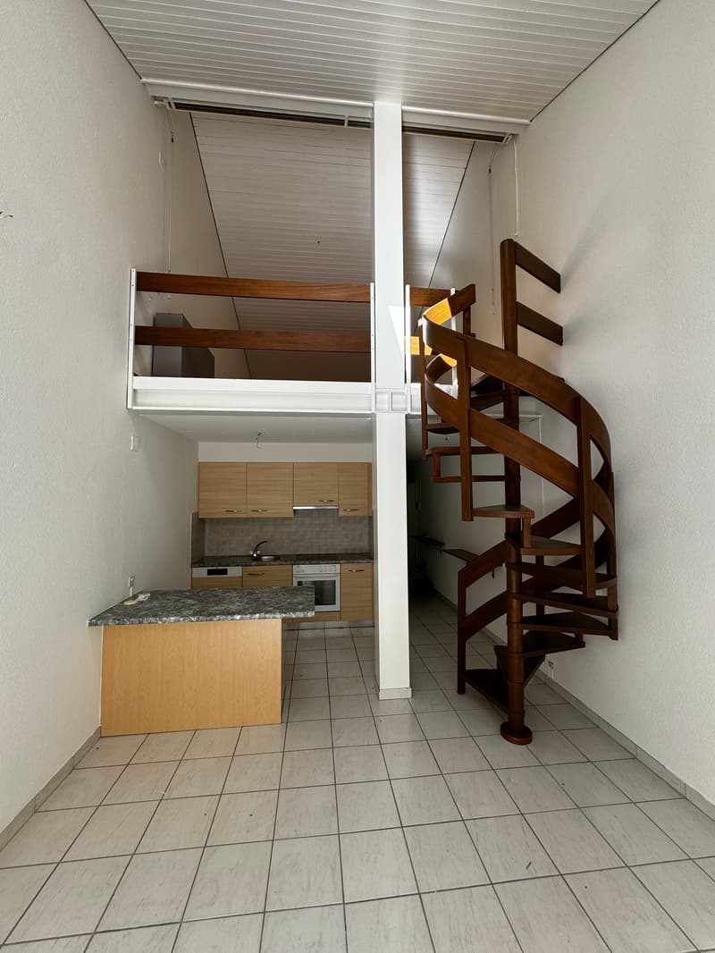 Cervo 1 (2)