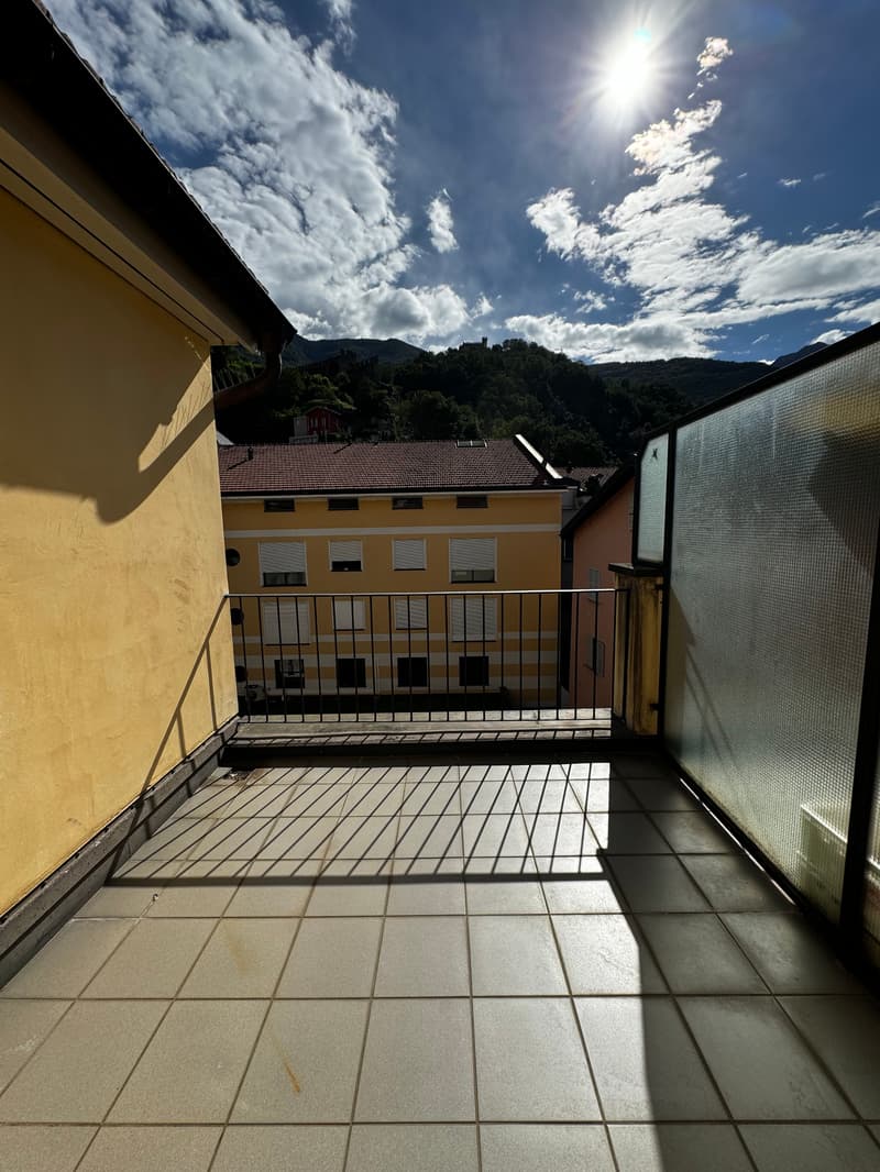 Cervo 1 (3)