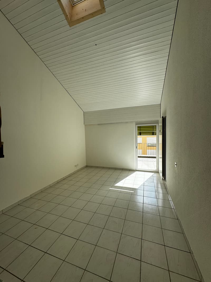 Cervo 1 (4)