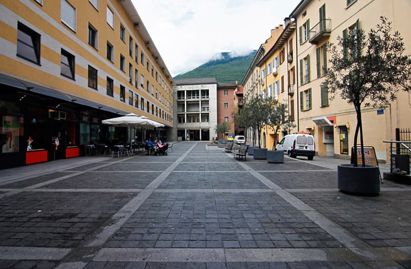 Cervo 2 (1)