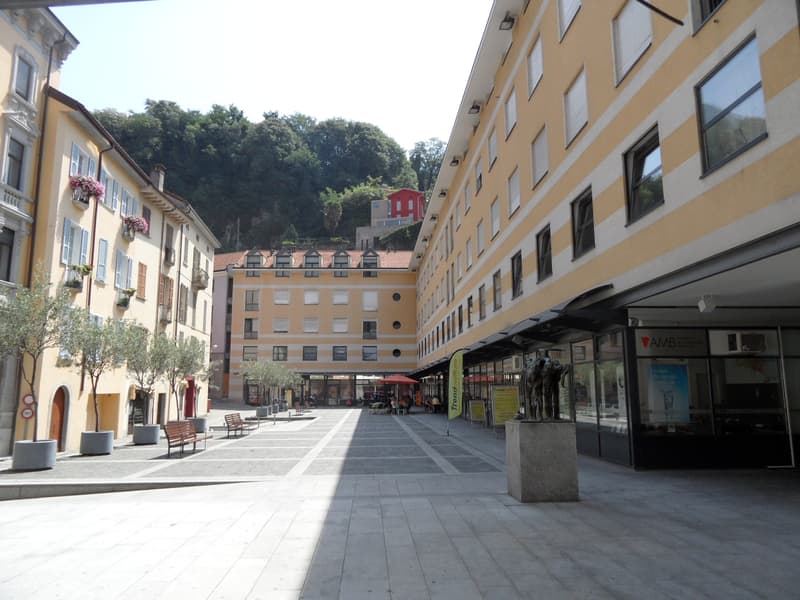 Cervo 2 (3)