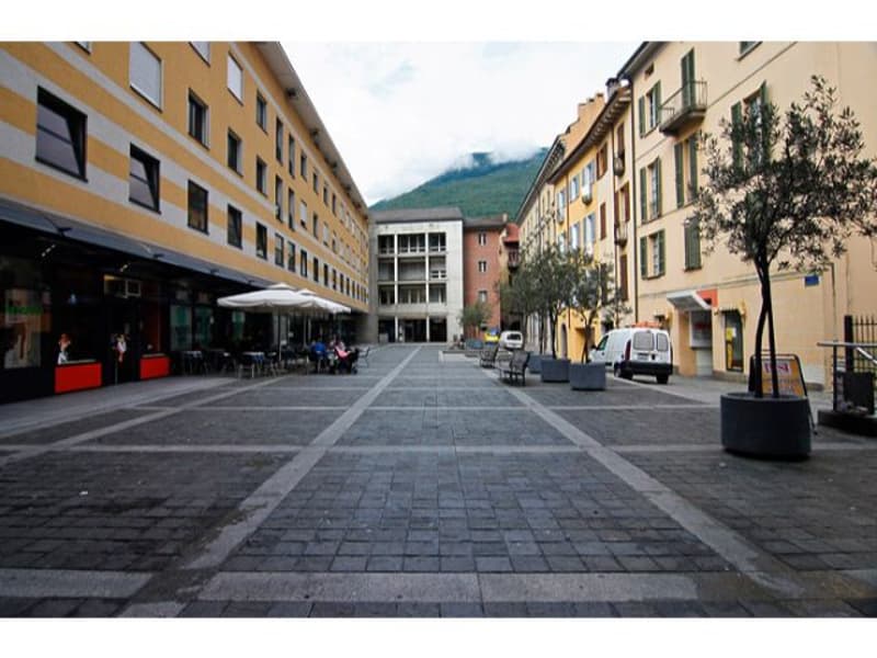 Cervo 2 (1)
