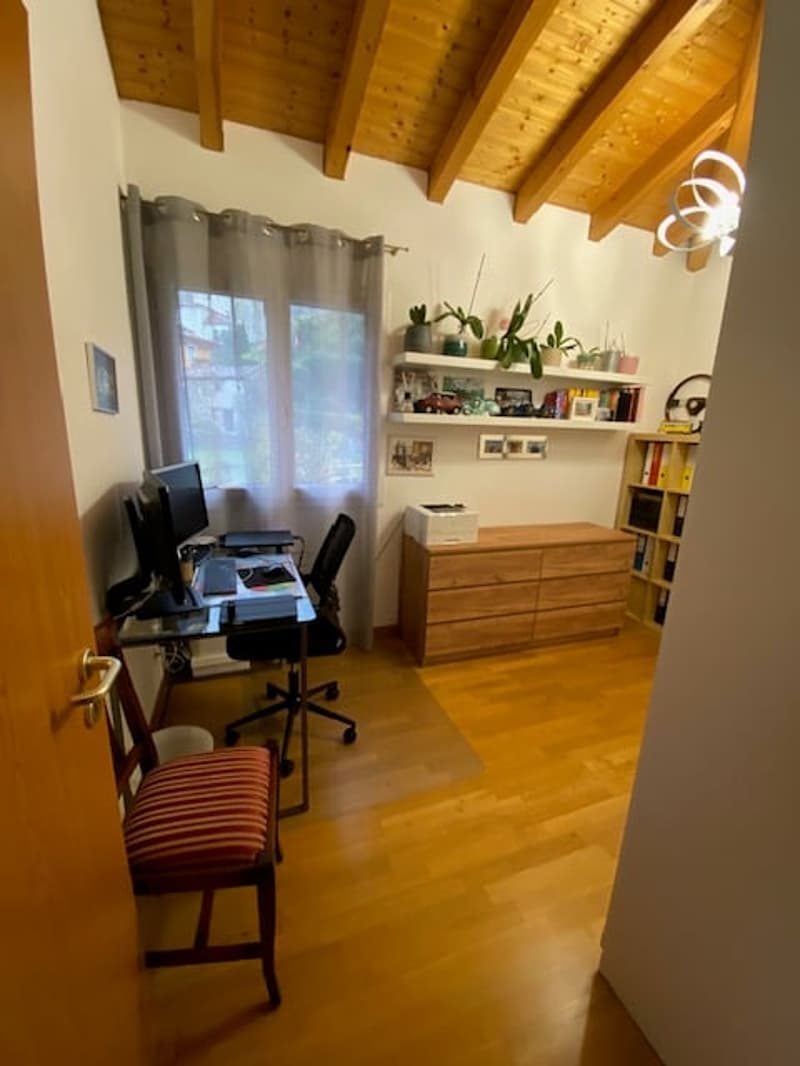 wooden floor, wood ceiling, office desk, chair, shelves with plants, books and picture frames