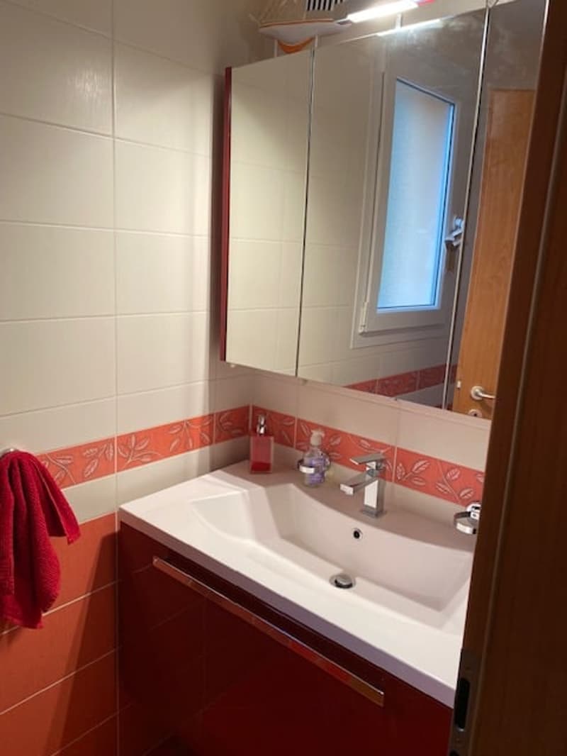 modern bathroom with white sink, mirror, and red tiles